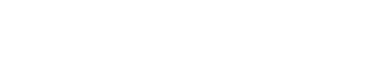 valkoinen siveltimen veto